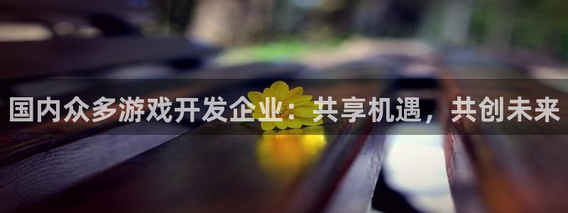 糖果派对爆分：国内众多游戏开发企业：共享机遇，共创未来