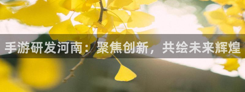 糖果派对下载安装：手游研发河南：聚焦创新，共绘未来辉煌