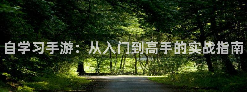 糖果派对下分图片：自学习手游：从入门到高手的实战指南