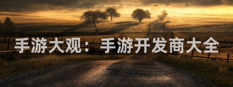糖果派对试玩版免费的：手游大观：手游开发商大全