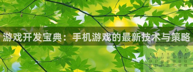 糖果派对2500倍视频：游戏开发宝典：手机游戏的最新技术与策