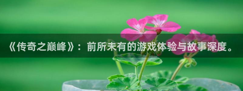 糖果派对手机下载：《传奇之巅峰》：前所未有的游戏体验与故事深