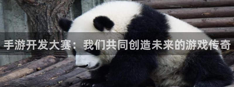 辉煌糖果派对：手游开发大赛：我们共同创造未来的游戏传奇