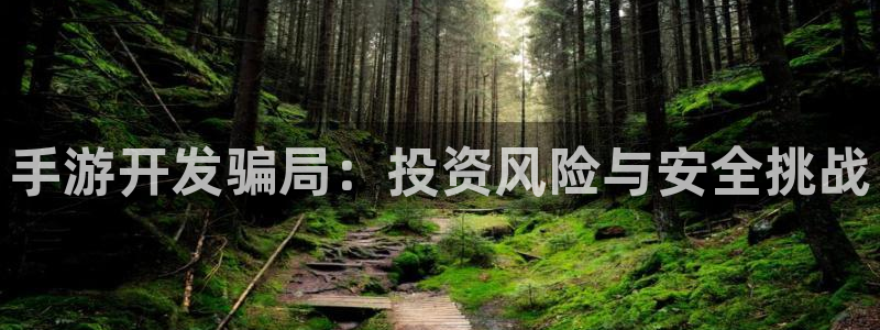 糖果派对的玩法：手游开发骗局：投资风险与安全挑战
