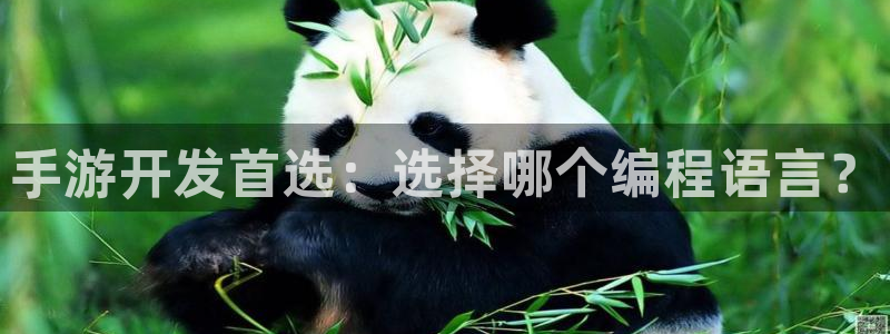 糖果派对100：手游开发首选：选择哪个编程语言？