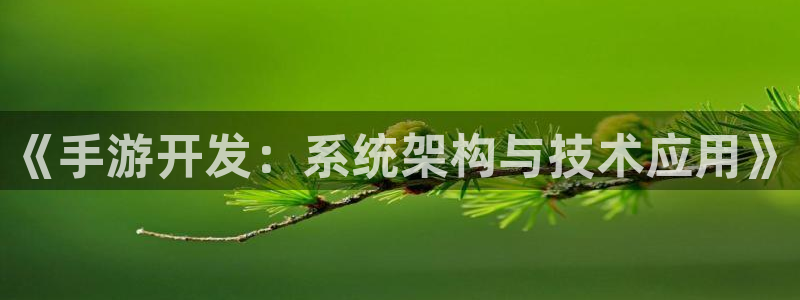 糖果派对介绍：《手游开发：系统架构与技术应用》