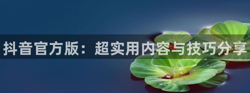 搜球体育：抖音官方版：超实用内容与技巧分享