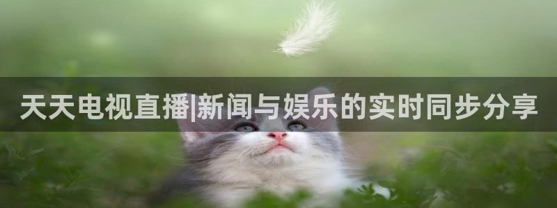搜球体育：天天电视直播|新闻与娱乐的实时同步分享