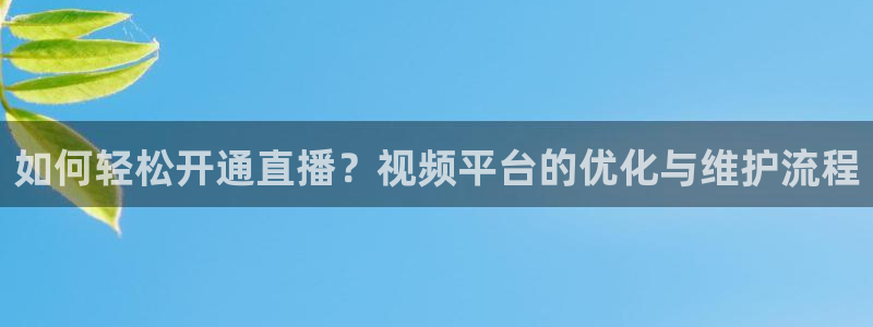 搜球8直播