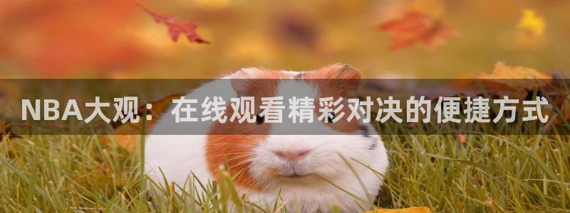 搜球吧8直播免费观看：NBA大观：在线观看精彩对决的便捷方式