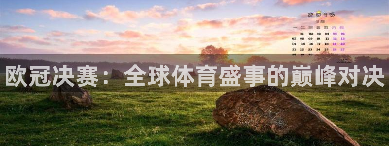 搜球体育直播app：欧冠决赛：全球体育盛事的巅峰对决