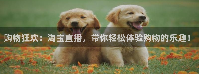 搜球体育直播app：购物狂欢：淘宝直播，带你轻松体验购物的乐趣！