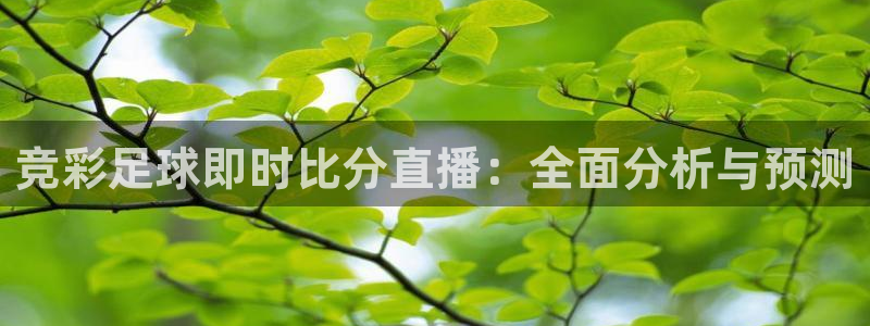 搜球吧手机直播nba直播：竞彩足球即时比分直播：全面分析与预测